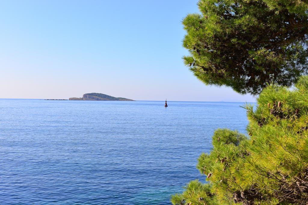 A&M Cavtat Family Apartment - 3 Bedrooms And Free Parking Exterior photo